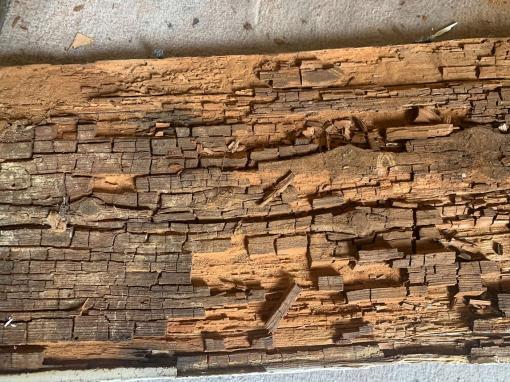 la pourriture cubique photo 1