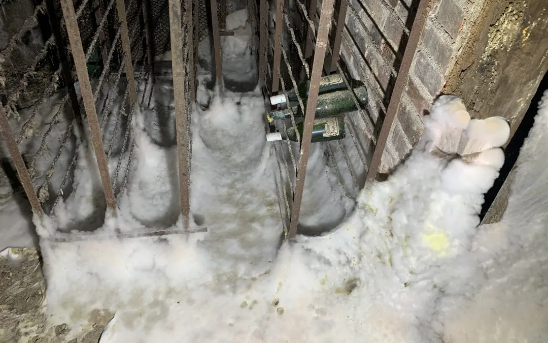 mérule cave photo 2