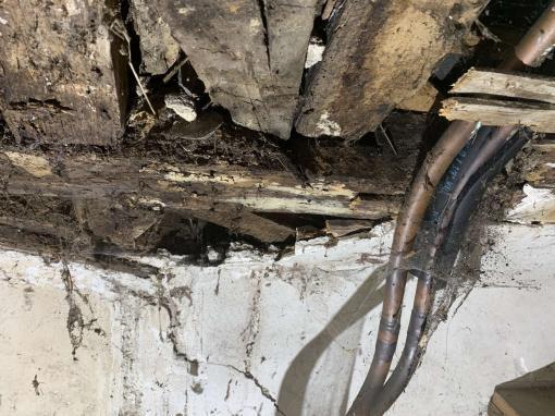 pourriture molle photo