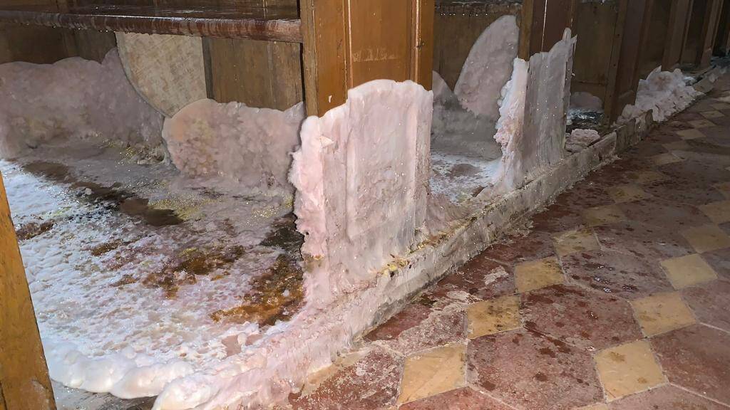 traitement champignon