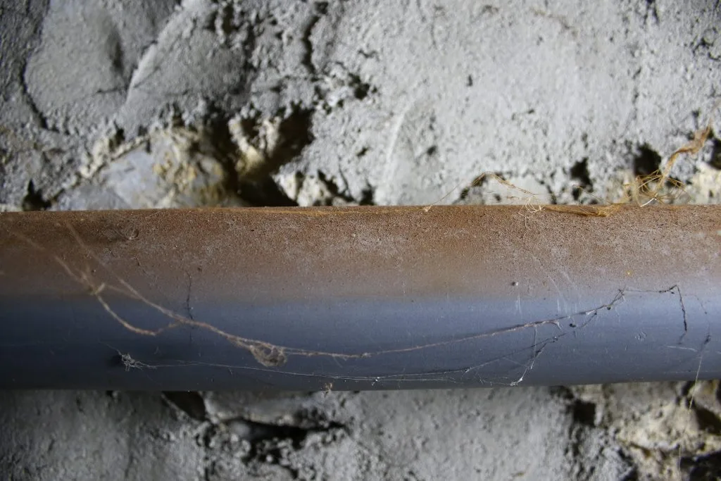 Spore de mérule sur tuyaux