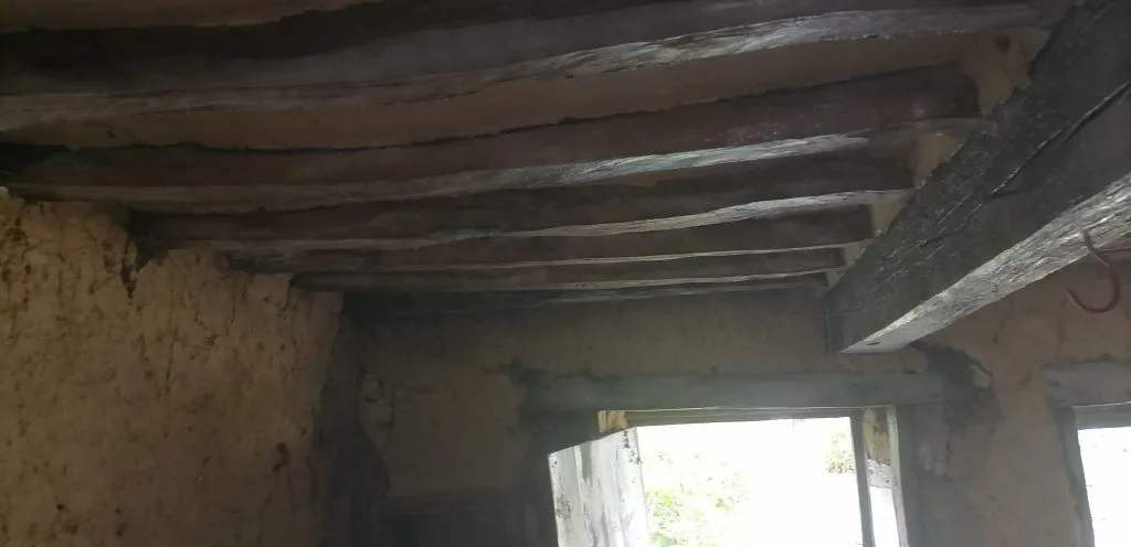 img 20240906 151556