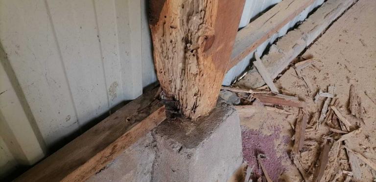 Intervention dans un local associatif près du Mans pour traiter les bois contre les vrillettes