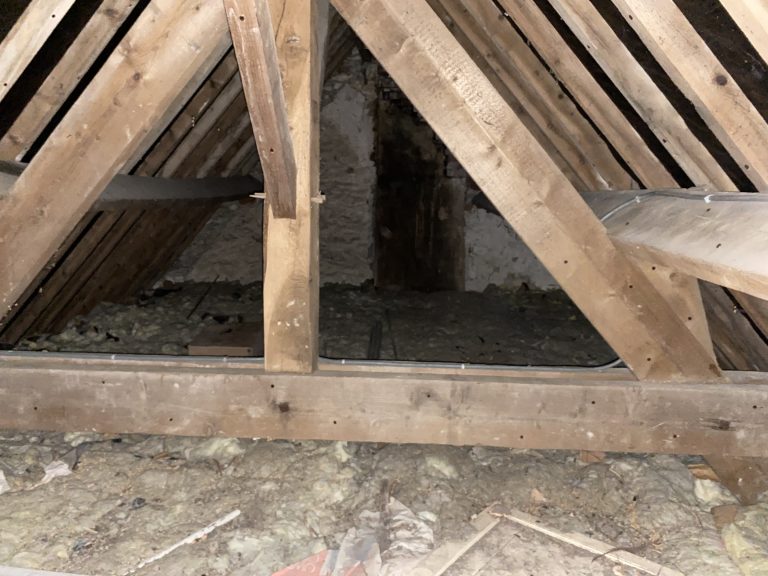 Traitement des capricornes et vrillettes dans une maison située à Auneau : une intervention en profondeur