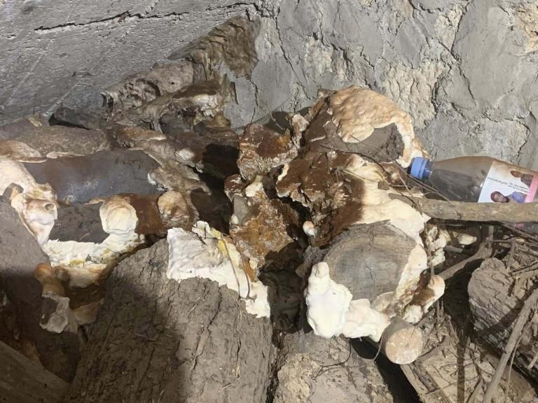 Quand un diagnostic révèle une vérité… puis disparaît