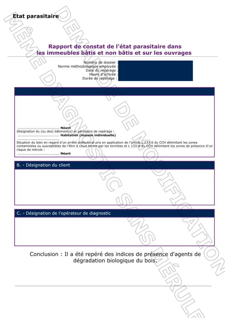 sans mérule1