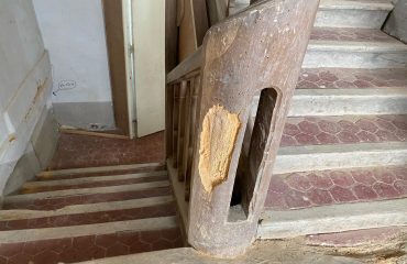 Entreprise Traitement Vrillette en Région Centre : Qui Choisir ?