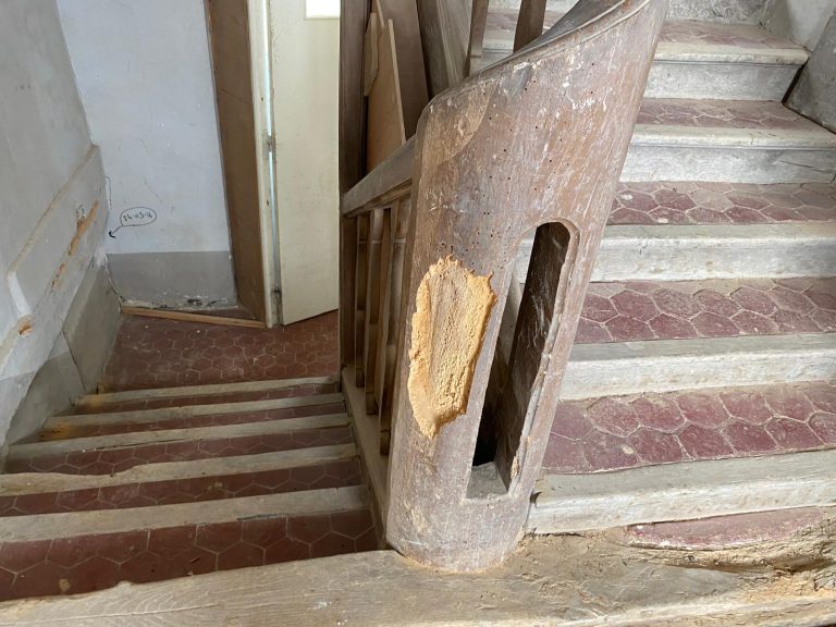 Entreprise Traitement Vrillette en Région Centre : Qui Choisir ?