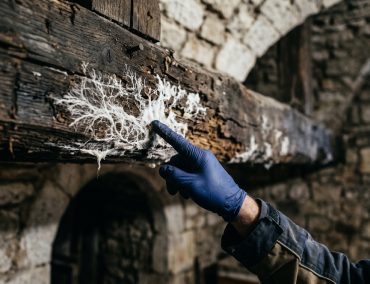 Éléments qui influencent le coût traitement mérule Chartres