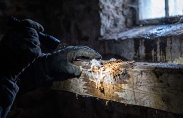 analyse professionnelle mérule orne à Soulaires, Eure-et-Loir